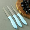 Cutting Knife Set of 3 For Kitchen Online