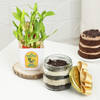 Delectable Chocolate Jar Cake With Two-Layered Bamboo Plant