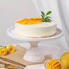 Buy Delicious Mango Indulgence Cake (Half Kg)