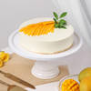 Shop Delicious Mango Indulgence Cake (Half Kg)