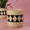 Buy Diamond Print Ceramic Planter with Gardening Tools