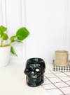 Shop Diffuser - Skull Face - Single Piece