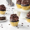 Divine Chocolate Cupcakes (Box of 6)