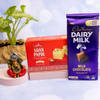 Divine Ganpati Hamper With Treats