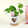 Gift Easy-to-care Money Plant with Personalize Vase