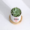 Shop Echeveria Succulent And Personalized Planter