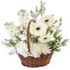 Elegant White Floral Arrangment