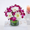 Gift Enchanting Arrangement