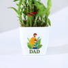 Shop Father's Day Bamboo Plant In Blossom Planter