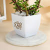 Shop Father's Day Best Dad Ever Jade Plant In Ceramic Planter