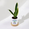 Buy Father's Day Snake Plant In Ceramic Pot For Grandpa