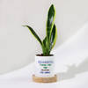 Father's Day Snake Plant In Ceramic Pot For Grandpa