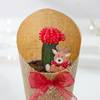 Buy Festive Moon Cactus Christmas Gift