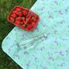 Folding Picnic Mat - Waterproof Online