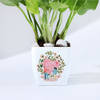 Shop For You - Money Plant With Planter