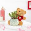 Forever Green Teddy And Jade Plant Combo