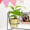 Buy Forever Soulmates Personalized Money Plant Swing Planter
