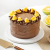 Fruitful Fantasy Chocolate Cake