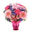 Gerbera Daisy Celebration Online