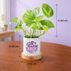 Gift Girl Power Women's Day Money Plant Gift