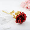 Buy Golden Rose Day Hamper