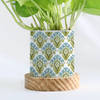 Buy Green Paradise - Money Plant With Pot