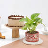 Greenery And Chocolate Cake Gift Combo