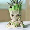 Shop Haworthia Succulent in a Groot Planter