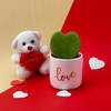 Hoya Heart Plant with Teddy