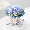 Gift Hydrangea Dreams & Dior Perfume Combo