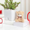 Buy Jade Plant With Self-Watering Planter And Mini Teddy Bear
