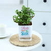 Buy Jade Plant With Self-Watering Planter For Mom