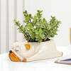 Jade Plant With Sleepy Pup Planter