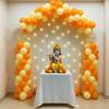 Janmashtami Balloon Arch With Lights