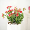 Shop Kalanchoe Plant In Ribbed White Planter
