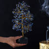 Shop Lapis Lazuli Gemstone Tree For Positivity - 500 Chips