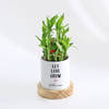 Gift Let Love Grow - 2-Layer Bamboo Plant With Pot - Personalized