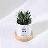 Shop Let Love Grow - Haworthia Succulent With Pot - Personalized