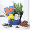 Let The Love Grow Hamper Online