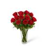 Long Stem Red Rose