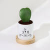 Shop Love Bloom - Hoya Heart Plant With Pot - Personalized