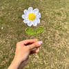 Gift Lovely Handcrafted Crochet Daisy