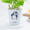 Shop Lovely Money Plant In Self-Watering Penguin Planter