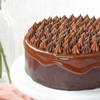 Shop Luscious Ganache Nutella Cake (1 Kg)