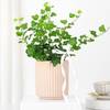 Shop Lush Ivy In Striped Coffee Planter