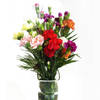 Magnificient Spray Carnations