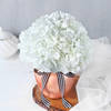 Buy Majestic Hydrangea Elegance For UAE National Day