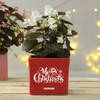 Merry Xmas Personalized Red Ceramic Planter