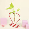 Buy Money Plant Grows on Heart Shaped Frame