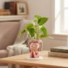 Shop Money Plant With Beauty Planter